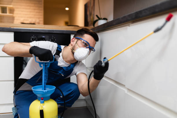 Best Ant Control Services  in New Hartford Center, CT