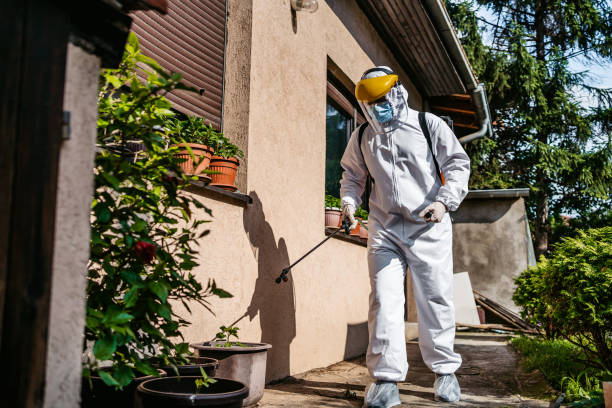 Best Affordable Pest Control Services  in New Hartford Center, CT