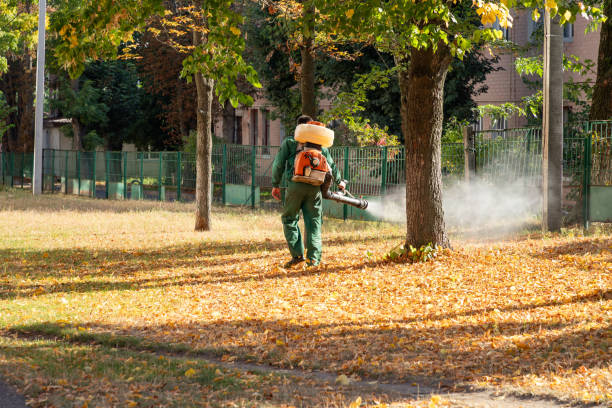 Best Termite Control Services  in New Hartford Center, CT