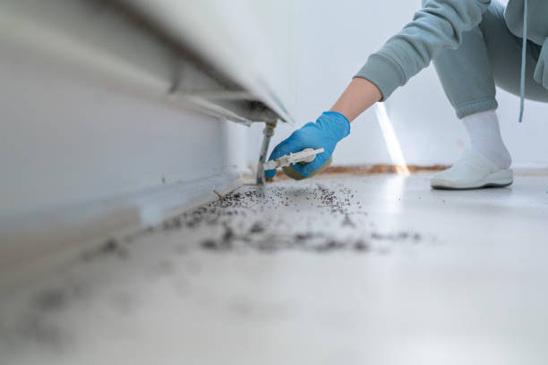 Best Pest Removal Services  in New Hartford Center, CT